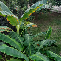 фото из отзыва ID 2308947