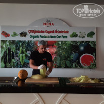 фото из отзыва ID 2308947