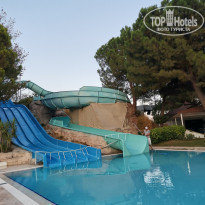 фото из отзыва ID 2308997