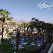 фото из отзыва ID 2309087