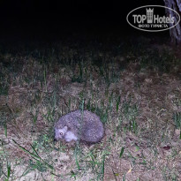 фото из отзыва ID 2308947