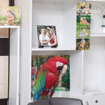 фото из отзыва ID 2308947