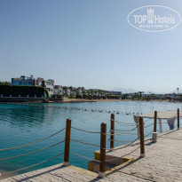 фото из отзыва ID 2309171