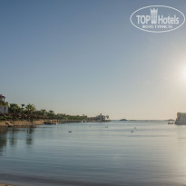 фото из отзыва ID 2309171