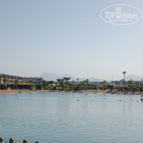 фото из отзыва ID 2309171