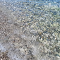 фото из отзыва ID 2309210