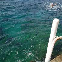 фото из отзыва ID 2309232