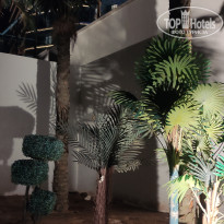 фото из отзыва ID 2309268