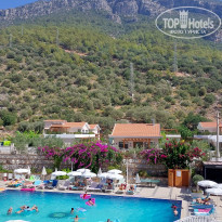 фото из отзыва ID 2309360