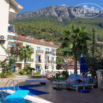 фото из отзыва ID 2309360