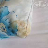 фото из отзыва ID 2309385