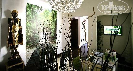 New photos from tourists Bamboo B&B Roma