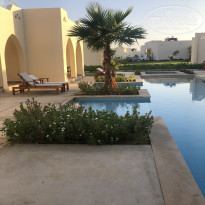 фото из отзыва ID 2309503