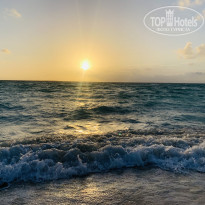 фото из отзыва ID 2309566