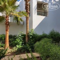 фото из отзыва ID 2309582