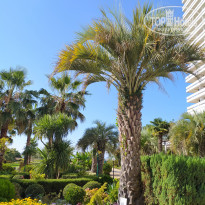 фото из отзыва ID 2309687