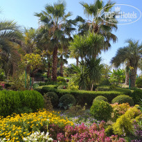 фото из отзыва ID 2309687