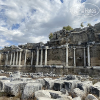 фото из отзыва ID 2309886