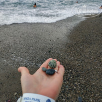 фото из отзыва ID 2309911