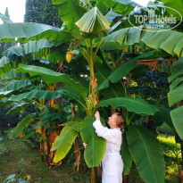 фото из отзыва ID 2309911