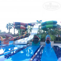 фото из отзыва ID 2309033