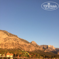 фото из отзыва ID 2309033