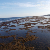 фото из отзыва ID 2306430