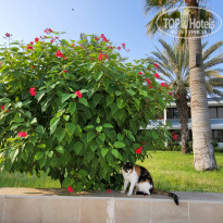 фото из отзыва ID 2309472