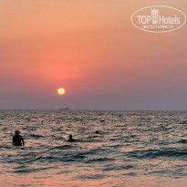 фото из отзыва ID 2309472