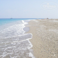 фото из отзыва ID 231053