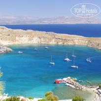 фото из отзыва ID 231199