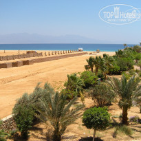 фото из отзыва ID 231706