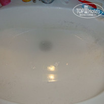 фото из отзыва ID 231967