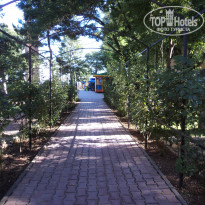 фото из отзыва ID 2310217