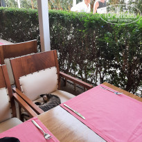 фото из отзыва ID 2310111