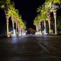 фото из отзыва ID 2310336