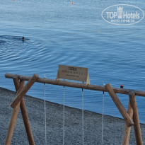 фото из отзыва ID 2310353