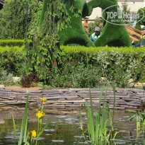 фото из отзыва ID 2310379