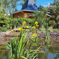 фото из отзыва ID 2310379