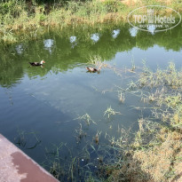 фото из отзыва ID 2310387