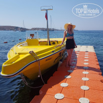 фото из отзыва ID 2310588