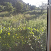 фото из отзыва ID 2310598