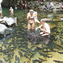 фото из отзыва ID 2310613