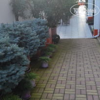 фото из отзыва ID 2310659