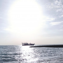 фото из отзыва ID 2310662