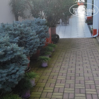 фото из отзыва ID 2310662