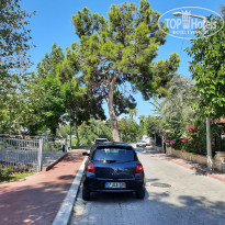 фото из отзыва ID 2310788