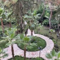 фото из отзыва ID 2310774