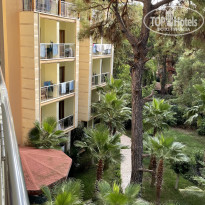 фото из отзыва ID 2310774