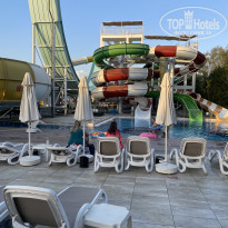 фото из отзыва ID 2311049